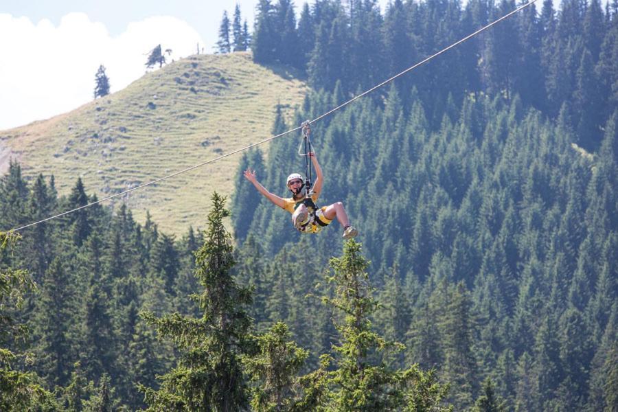 Alpenrose Appartements Nesselwang Kültér fotó