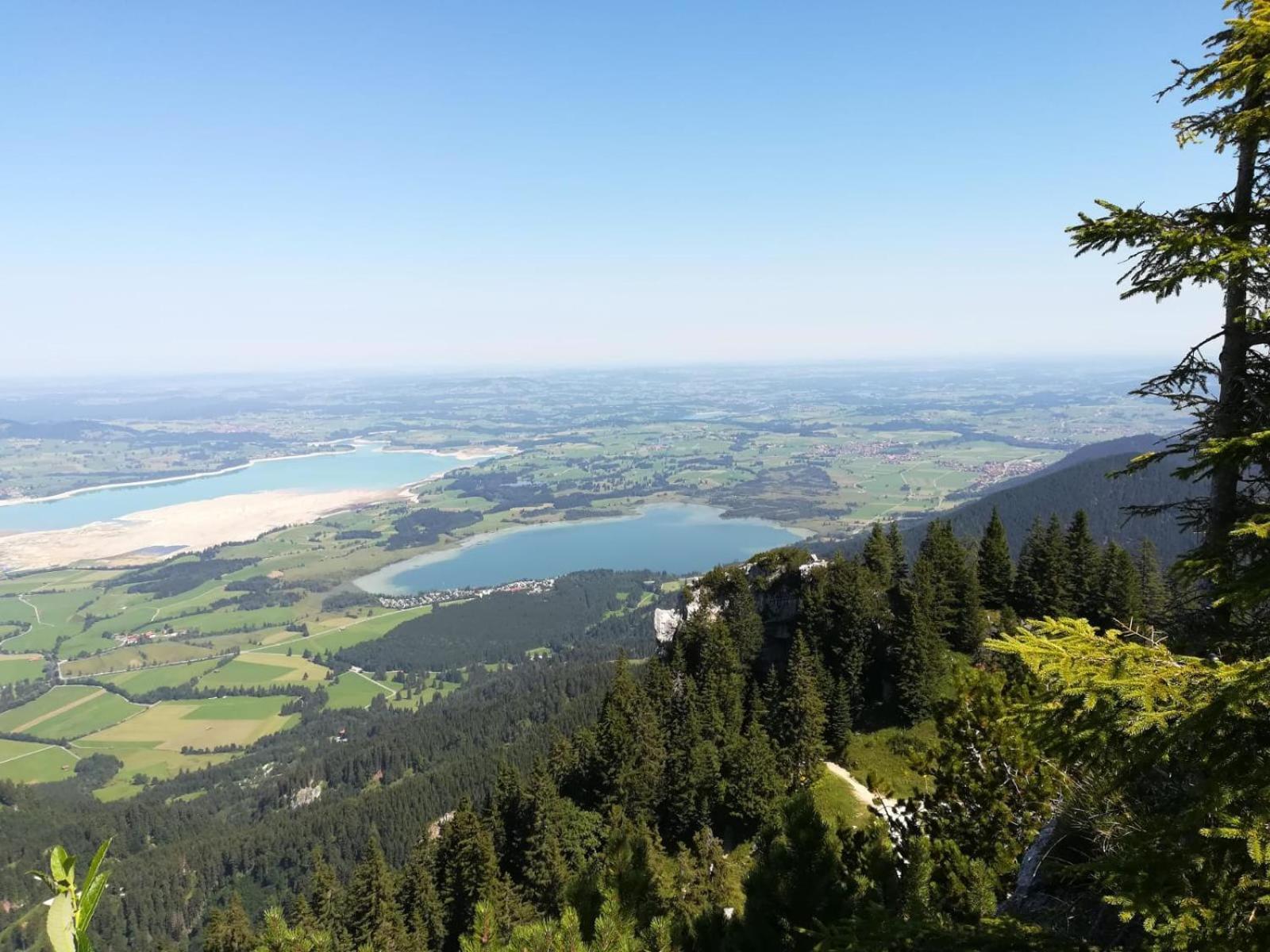 Alpenrose Appartements Nesselwang Kültér fotó