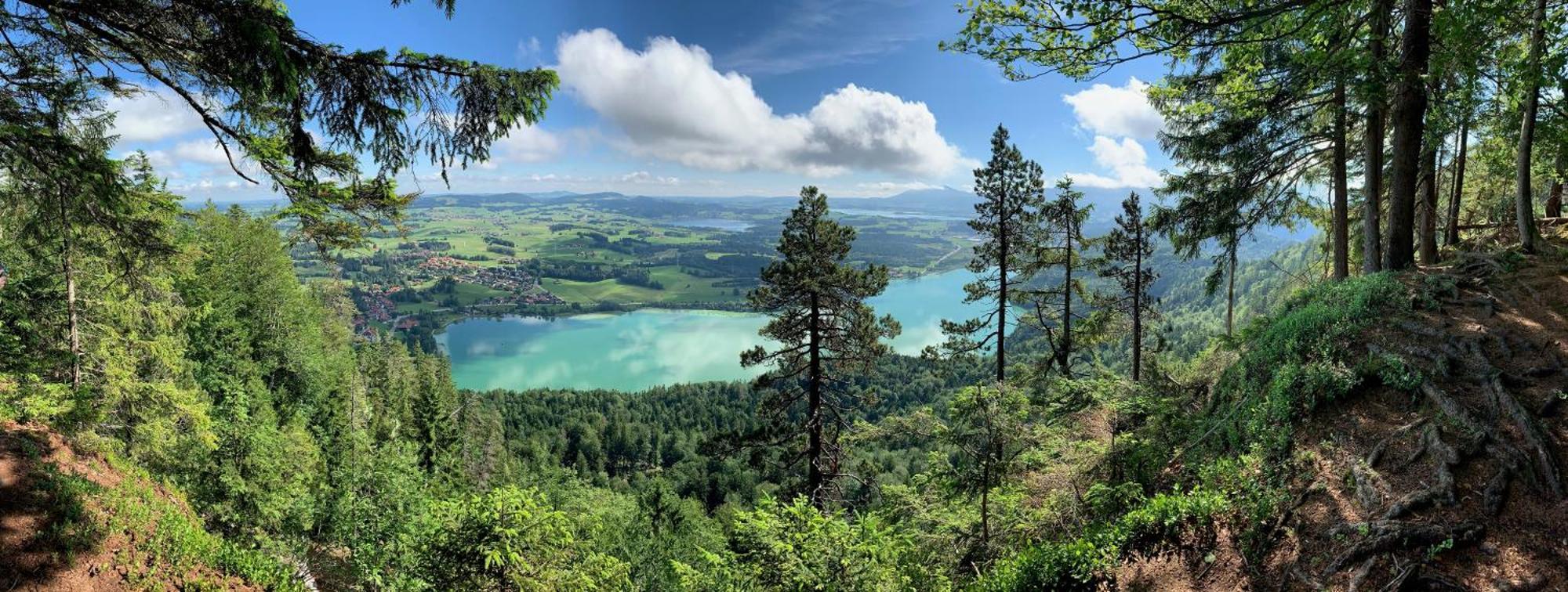 Alpenrose Appartements Nesselwang Kültér fotó